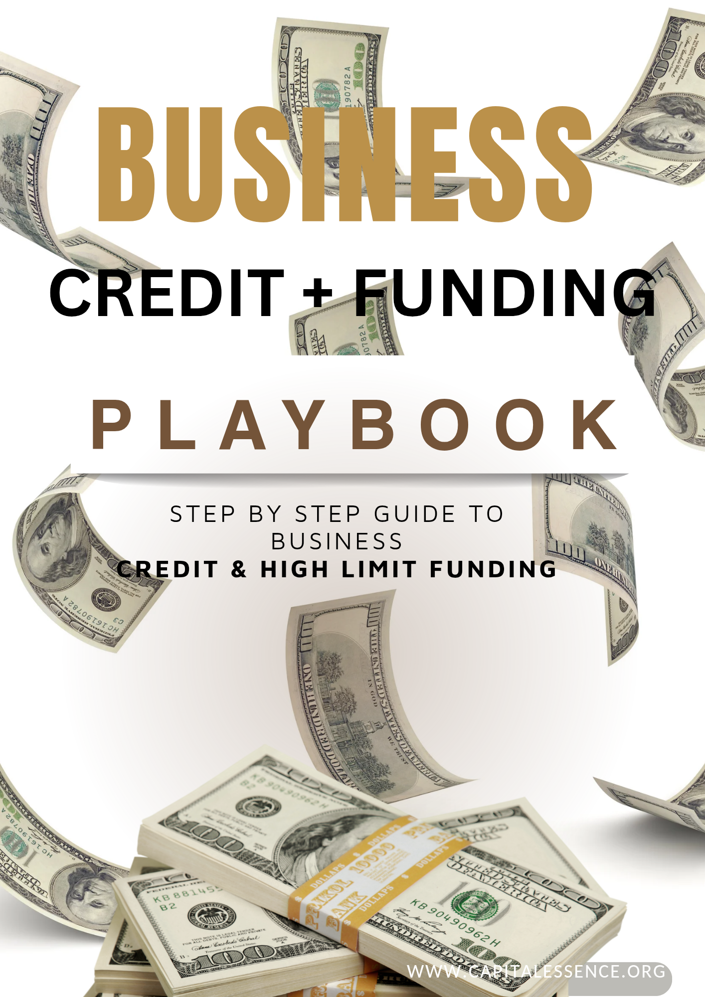 The 30/90 Day Business Credit & Funding Playbook: STEP BY STEP GUIDE TO BUSINESS CREDIT & HIGH LIMIT FUNDING in 90 days!